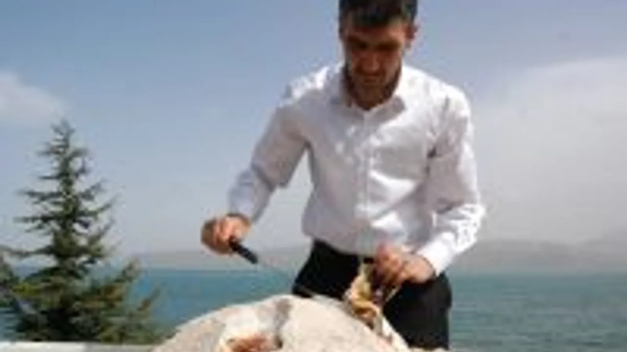 Tatvan Da Tuzda Tavuk Yemegine Ilgi Guncel Tatvan Da Tuzda Tavuk Yemegine Ilgi Guncel