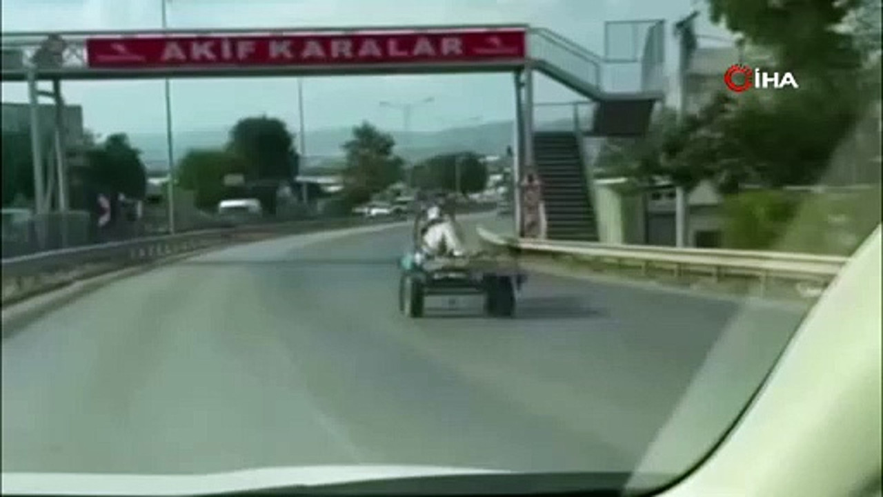 Шкаф цмо шрн-э-6. Авм-1000а автоматический выключатель. Цмо шрн-э-6. Шкаф телекоммуникационный 19 дюймов zpas. Он э 6.