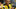 Aubameyang'a saç uyarısı