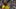 Aubameyang'ın neden kadro dışı kaldığı belli oldu