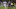 Antalyaspor - Trabzonspor: 1-1