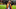 Bomba iddia: ''Fatih Terim Galatasaray ayrılıyor''