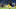 Fenerbahçe'de gol patlaması yaşayan forvet!
