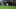 Beşiktaş ve Adana Demirspor PFDK'ya sevk edildi