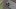 iPhone 14'ün neye benzeyeceğine dair ilk fotoğraf sızdı