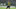 Lazio ve Fiorentina'nın Eljif Elmas savaşı