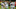 Süper Lig: Göztepe: 0 - Yukatel Denizlispor: 0 (Maç sonucu)