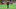 Kayserispor'da 6 eksik var