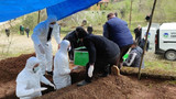 Sakarya'da aynı aileden 5 kişi koronavirüsten öldü