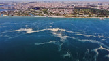 İstanbul sahillerinde son durum: Kilometrelerce müsilaj hattı oluştu