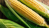 Toprak Mahsulleri Ofisi, mısır alım fiyatını açıkladı