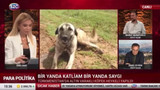 Murat Muratoğlu'ndan skandal sözler: ''Çinliler köpek yiyor, öldüreceğimize Çin’e ihraç edelim''