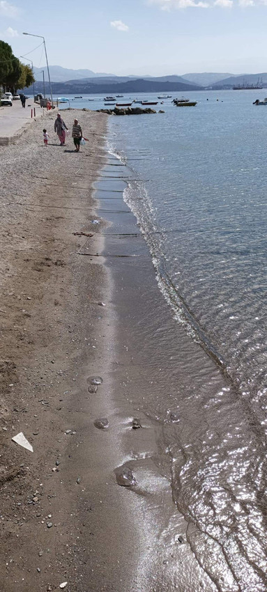 Marmara Denizi'nde korkutan istila kamerada - Resim: 2