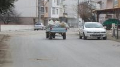 Pırpırlar Trafik Kazalarına Neden Oluyor