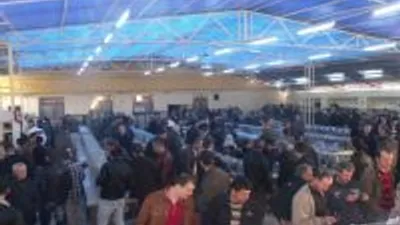 Festival Ziyaretçi Akınına Uğradı