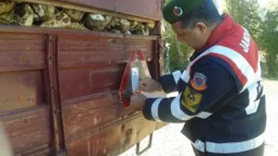 Pancar Yüklü Römorklara Kontrol