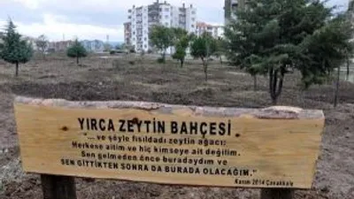 Çanakkalede Yırca Zeytin Bahçesi Oluşturuldu