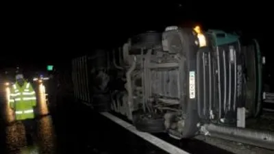Edirnede TIR devrildi; içindeki 31 inek kurtarıldı