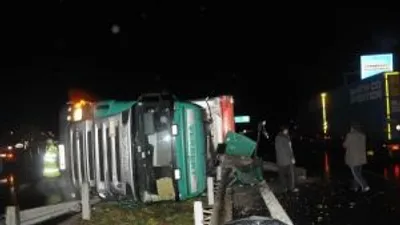 Dorsede Tepişen İnekler, Tıra Kaza Yaptırdı