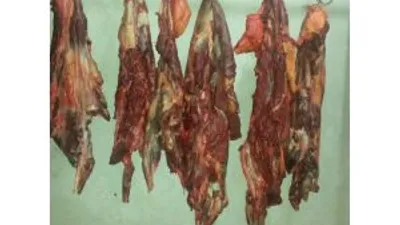 Bursada At Eti Soruşturması Sürüyor