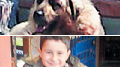 Bu sefer çocuğu parçalayan Pitbull değil!
