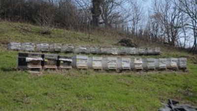 Sislioba balı yurt dışına açıldı