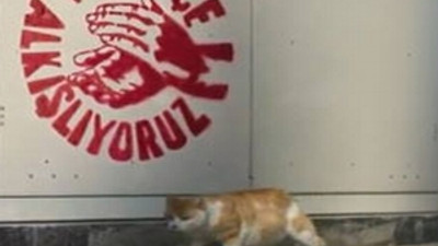CHP'den kedili tanıtım filmi