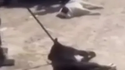 İran'dan büyük vahşet !