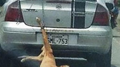 Böyle vicdansızlık olamaz