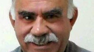 Öcalan'a özgürlük çağrısı yapacaklar
