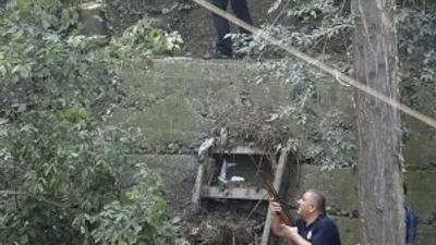 Kaçan kaplan dehşet saçtı