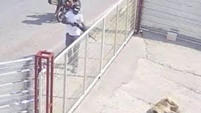 Havlayan köpeği gözünü kırpmadan öldürdü !