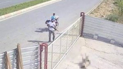 Köpeği öldüren adam yakalandı