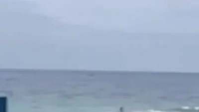 Uçak sahile böyle çakıldı !