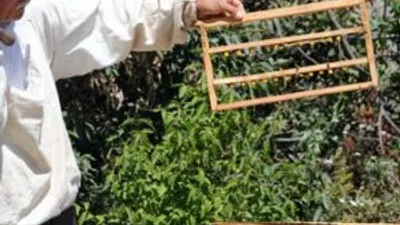 5 bin liralık arı sütü yok satıyor !