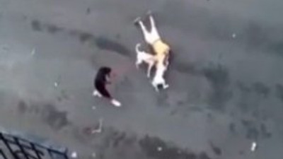 2 pitbull sokak ortasında dehşet saçtı