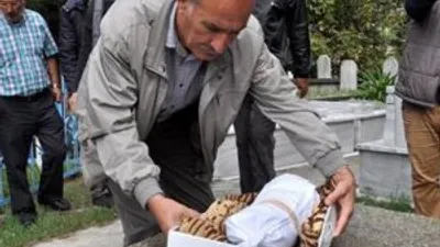 İkiz bebekleri kaza ayırdı !