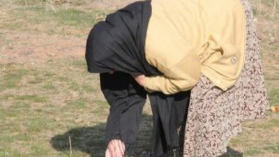 Bakan Şimşek'ten anketli yanıt !