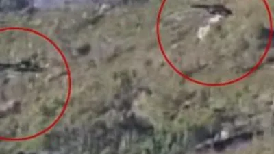 Rus helikopterleri bölgede arama yaptı