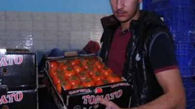 Uçak krizi domatesi de vurdu !