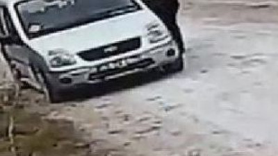 Yavru kedileri ölüme terketti !