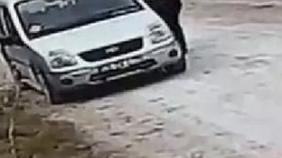 Yavru kedileri ölüme terketti !