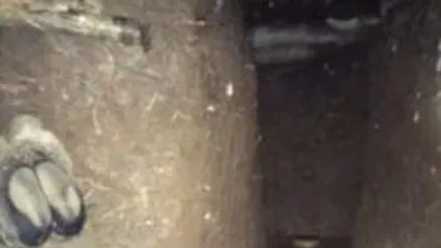 PKK sığınağından incil çıktı
