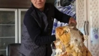 Çinli çiftçi ''ölümsüzlüğün sırrını''...