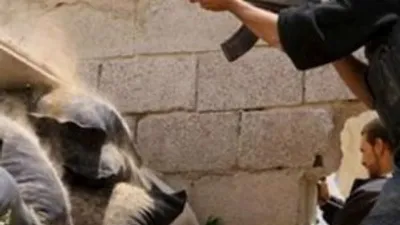 Esad'a karşı füze yardımı istiyorlar !