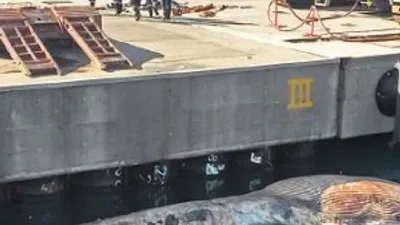 Süt emen balina açlıktan öldü