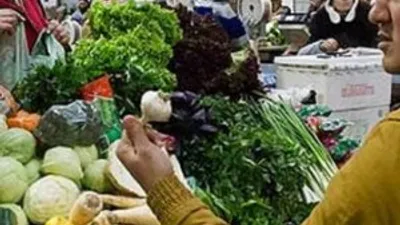 Rusya narenciyeyi Suriye'den alıyor