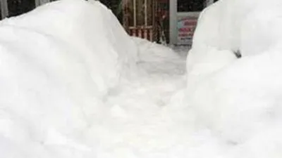 Ordu'nun Akkuş ilçesi karlar altında kaldı ! Arabalar yok oldu..