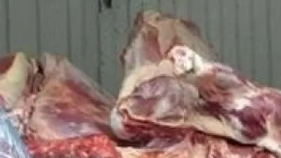 2 ton kaçak et yakalandı