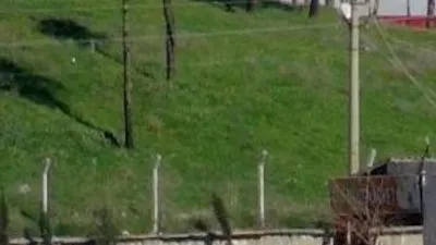 Cizre'dekiler geri dönüyor